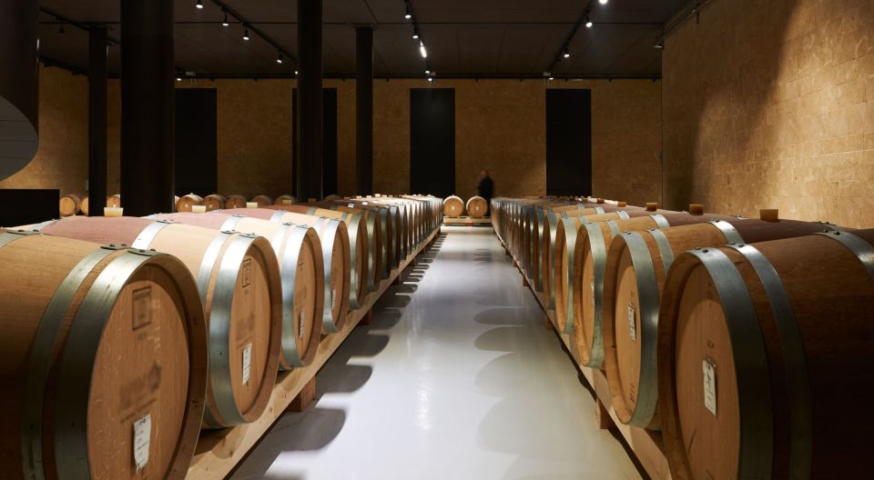 2-hours Amarone Wine Tour with Sommelier Wine Tastings - Entering Verona’s Most Innovative Wine Cellar (Without the Guesswork)
