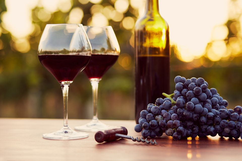 2-hours Amarone Wine Tour with Sommelier Wine Tastings - The 2-Hour Flow: From Modern Presses to the Old Cellar Walls