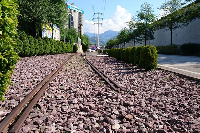 3- Hours Private Tour Bolzano's Jewish History - Die Transporte rail track: understanding the 13-wagon reality