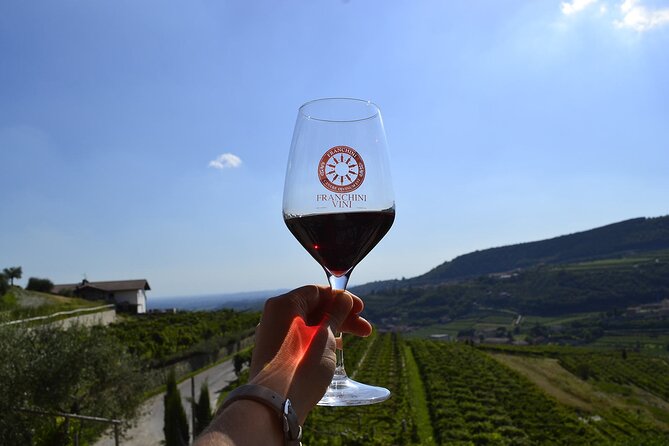 6 Wine Tasting in Valpolicella Classica: the cradle of Amarone - Vineyard time in the Valpolicella Classico hills