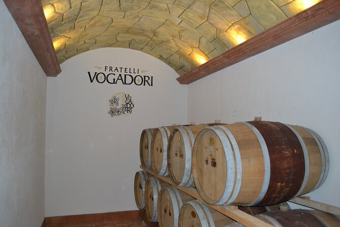 Amarone Della Valpolicella Wine Experience - Meet the Vogadori Family - What happens during the 90 minutes: a tasting with a story