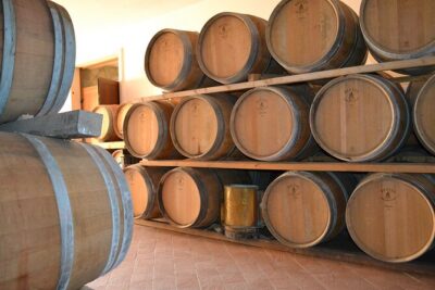 Amarone Della Valpolicella Wine Experience - Meet the Vogadori Family - Meeting Alberto, Gaetano, and Emanuele: why the guide matters