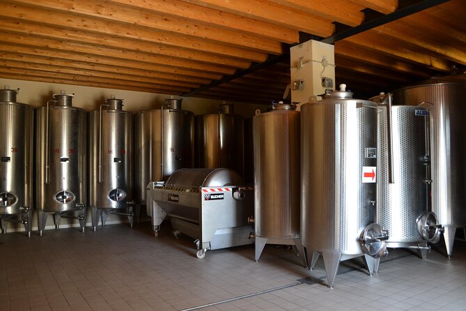 Amarone Della Valpolicella Wine Experience - Meet the Vogadori Family - Getting there and planning your timing from Verona