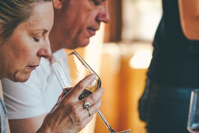 Amarone Wine-tasting Tour from Verona with Private Transportation - A half-day Valpolicella tour built around Amarone