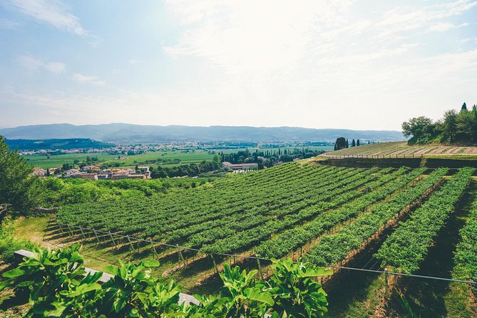 Amarone Wine-tasting Tour from Verona with Private Transportation - Getting to the countryside: Teatro Ristori to the Valpolicella hills