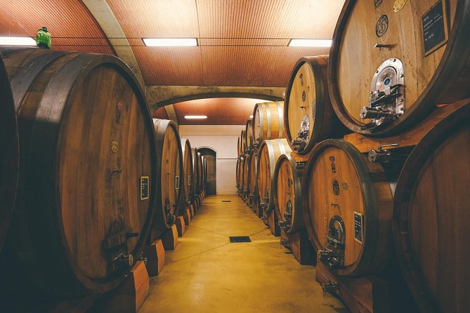 Amarone Wine-tasting Tour from Verona with Private Transportation - What you actually taste: Amarone, Ripasso, and local pairings