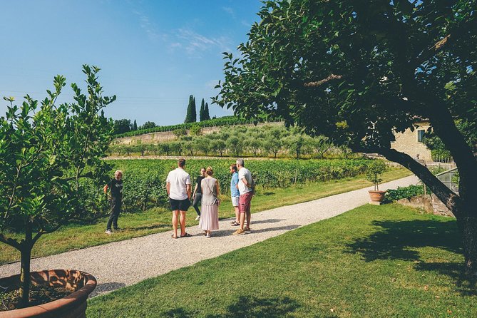 Amarone Wine-tasting Tour from Verona with Private Transportation - Practical notes: what to bring and how to plan your Verona day