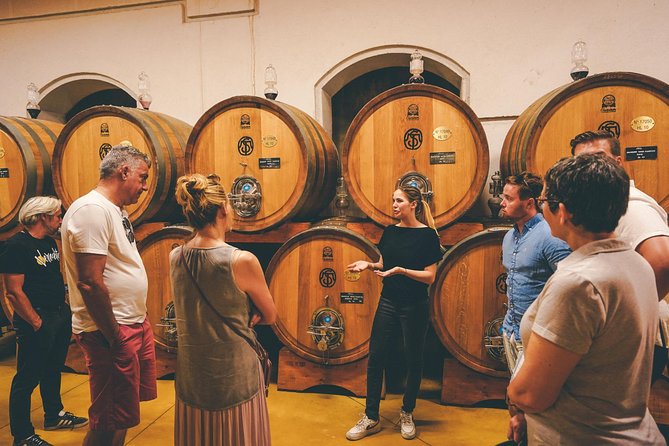 Amarone Wine-tasting Tour from Verona with Private Transportation - Second winery visit: comparing aromas and styles in Valpolicella