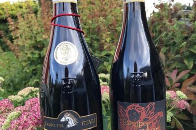 Amarone Wine Tasting Tour. Visit Verona. From Venice - Walking Verona’s landmarks: Piazza Bra to Piazza delle Erbe