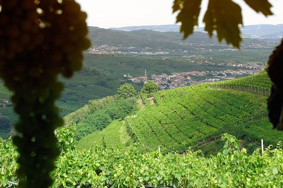 Amarone Wine Tasting Tour. Visit Verona. From Venice - Best fit: who will love this tour (and who might want to pass)
