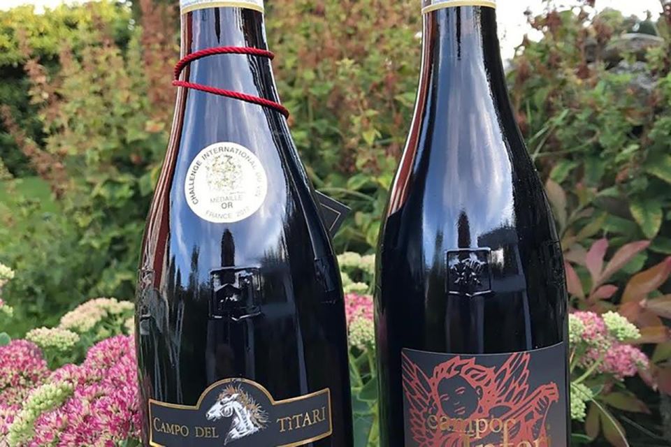 Amarone Wine Tasting Tour. Visit Verona. From Venice - Walking Verona’s landmarks: Piazza Bra to Piazza delle Erbe