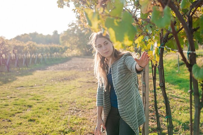 Amarone Wine Tour - Tenute Falezza in Valpolicella: what makes this tour feel worth $38.45
