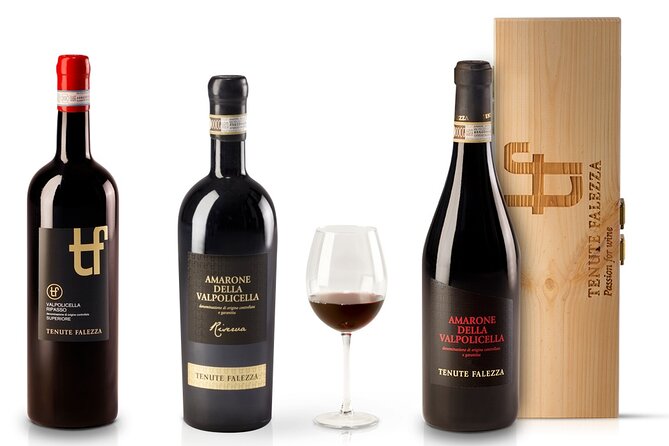 Amarone Wine Tour - The barrique cellar and sensory room: learn to taste with your nose