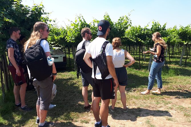 Amarone Wine Tour - Price and value: why this flight feels fair