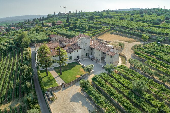 Art & Wine Experience in Valpolicella at Palazzo Montanari - Key Highlights You’ll Actually Care About