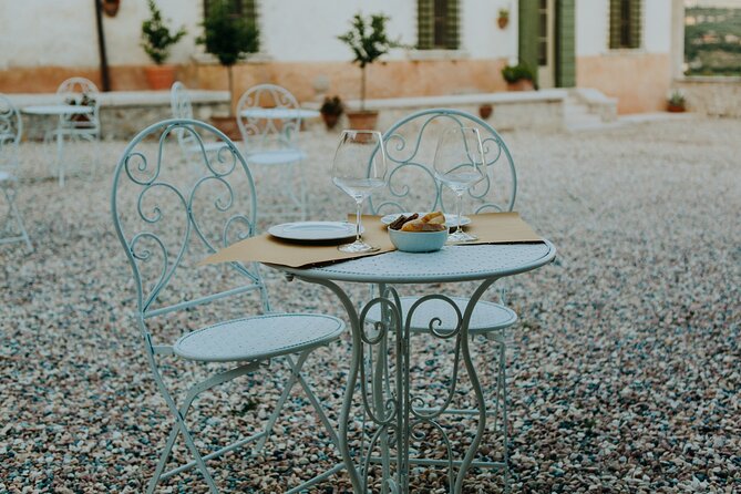 Art & Wine Experience in Valpolicella at Palazzo Montanari - Palazzo Montanari in Bure: the setting for art and wine