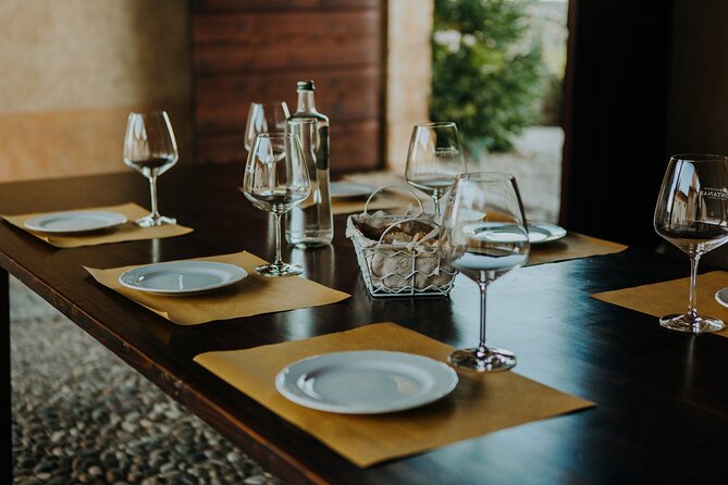 Art & Wine Experience in Valpolicella at Palazzo Montanari - Valpolicella Classica in the background: what the guide helps you notice