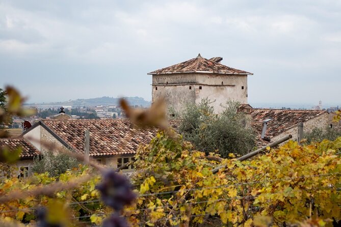 Art & Wine Experience in Valpolicella at Palazzo Montanari - Is the price ($59.57) good value for what you get?