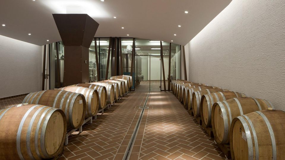 Bardolino: tasting of 6 White and Rosè wines with Lake view - Bardolino’s lake-view setting inside a renovated family winery