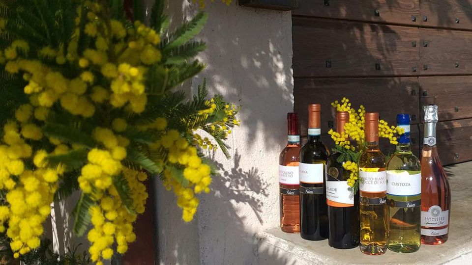 Bardolino: tasting of 6 White and Rosè wines with Lake view - The tasting lineup: six wines that let you compare the Verona-area story