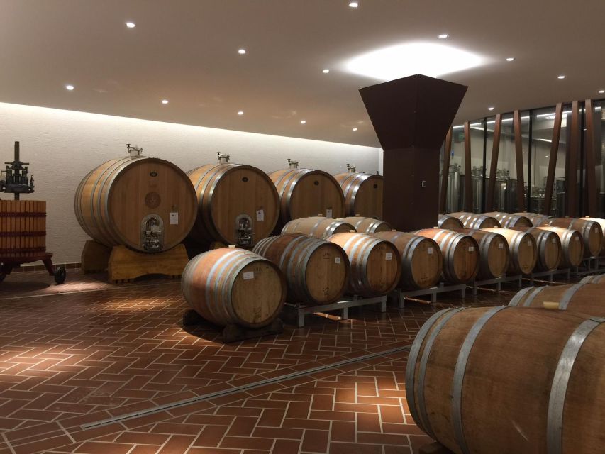 Bardolino: tasting of 6 White and Rosè wines with Lake view - Price and value: what $44.41 buys you in real terms