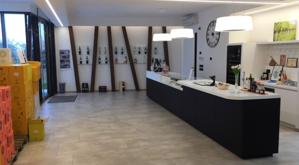 Bardolino: tasting of 6 White and Rosè wines with Lake view - Language and guide experience: plan around Italian and German