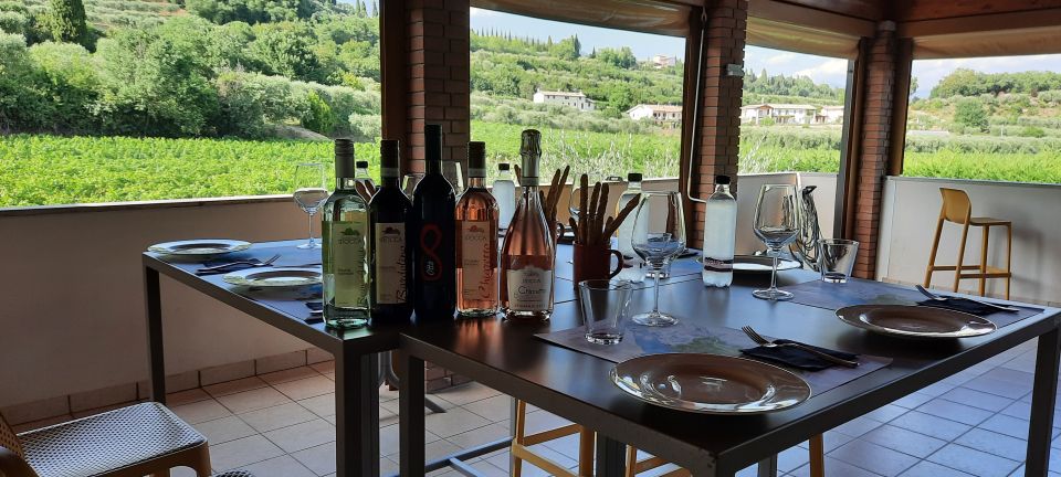 Bardolino: Vineyard Tour with Wine, Olive Oil & Food Tasting - Key things you’ll notice right away