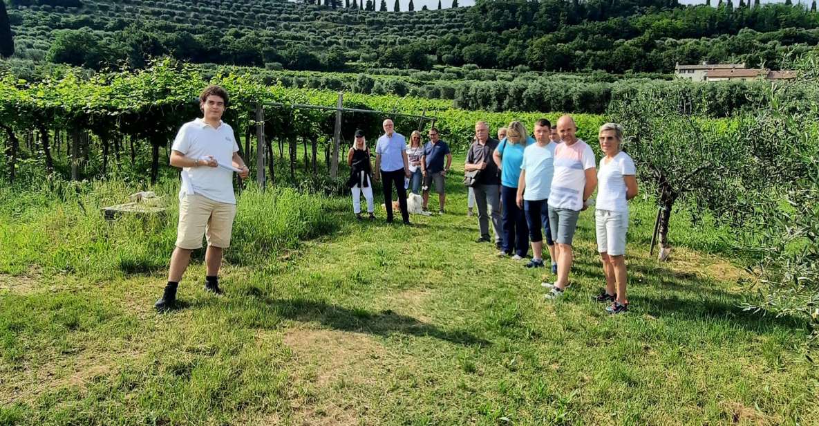 Bardolino: Vineyard Tour with Wine, Olive Oil & Food Tasting - Bardolino DOC in plain talk: grapes, weather, and how production works