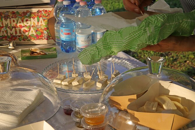 Beekeeping Farm Tour and Tasting Experience in Lazise - Entering the Il Campetto farm day: what your 2 hours feels like