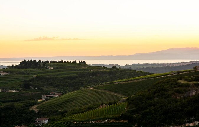 Bike Station Valpolicella: E-bike tour & Amarone Tasting - Key highlights at a glance