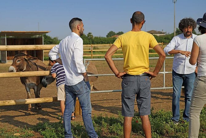Biodynamic Farm and Natural Wines Tasting in Lazise - Key highlights you’ll feel fast