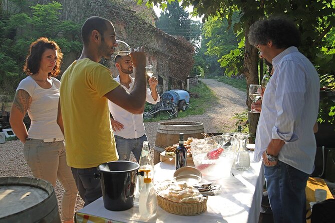Biodynamic Farm and Natural Wines Tasting in Lazise - The natural wine tasting: Chiaretto and Bardolino in a smart order
