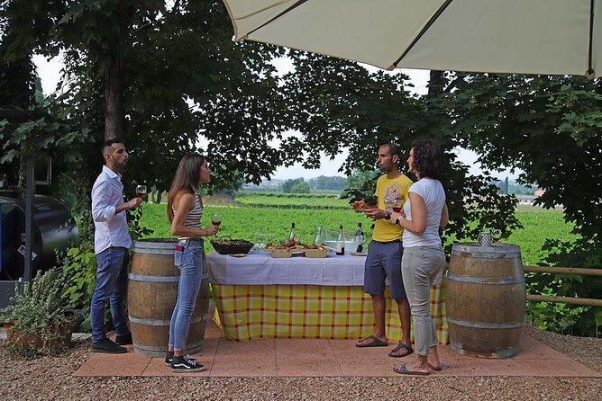 Biodynamic Farm and Natural Wines Tasting in Lazise - Price and logistics: what $50.47 buys you in 2 hours