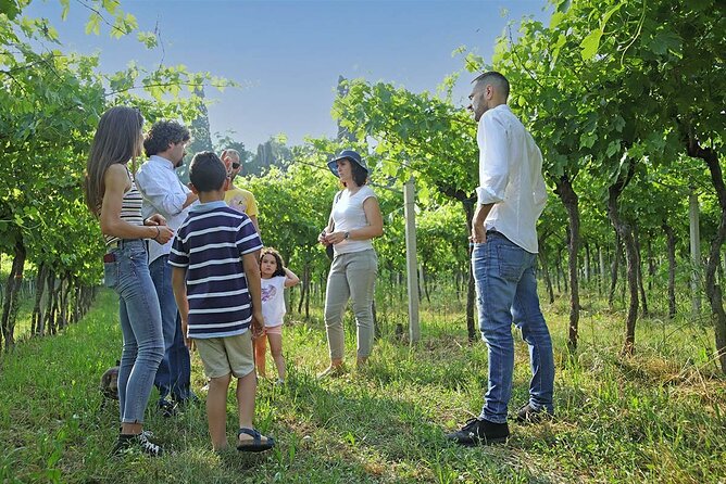 Biodynamic Farm and Natural Wines Tasting in Lazise - Weather-ready planning: the terrace depends on it