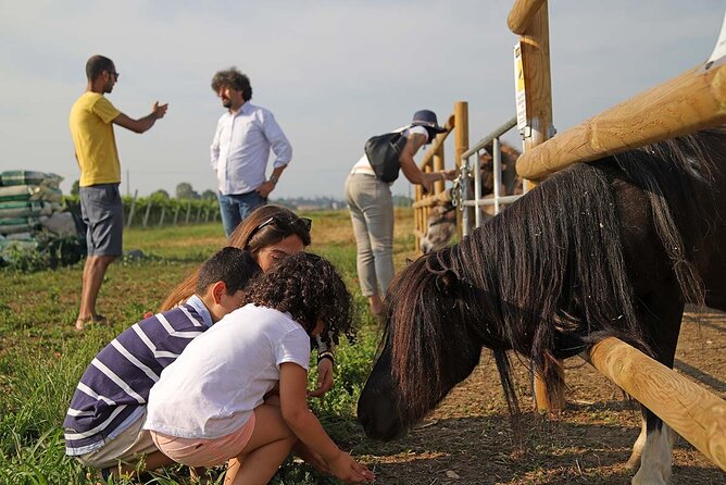 Biodynamic Farm and Natural Wines Tasting in Lazise - Should you book this biodynamic farm and natural wine tasting?