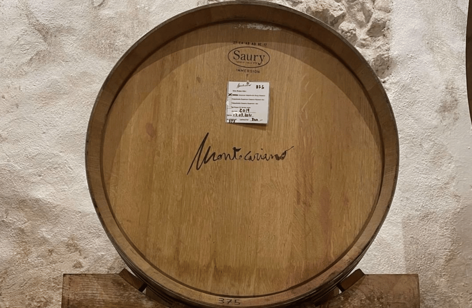 Boutique Winery Tour & Tasting in Valpolicella - San Pietro in Cariano tasting: four wines, one structured pairing