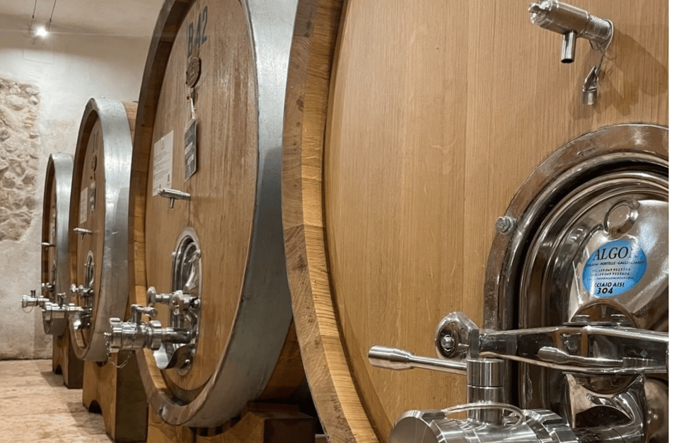 Boutique Winery Tour & Tasting in Valpolicella - Price and value: $69 for four wines, cellar time, and a bonus (sometimes)