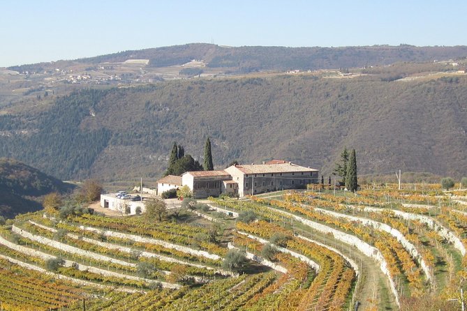 Champagne Experience at a Boutique Winery - Food pairings that make this feel like Valpolicella, not just Champagne