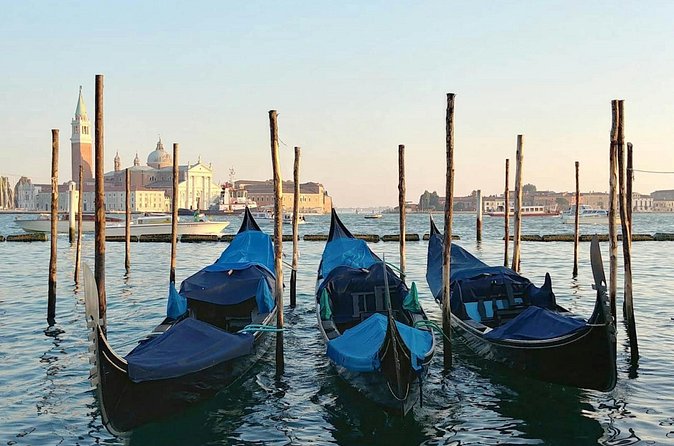 Classic Venice Full Day Tour from Lake Garda - St. Mark’s Square and Basilica: How the Guide Helps You Navigate the Crowds