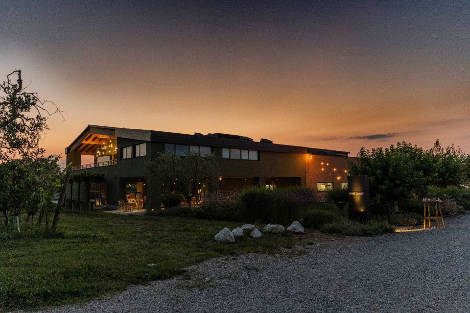 Desenzano: Lugana Wine-Tasting and Vineyard Tour - Lugana and Valtenesi near Desenzano: why this corner of Lake Garda matters