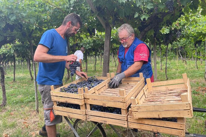 Discover the Amarone wine: 1 winery with delicious food pairing - Key things I’d plan around