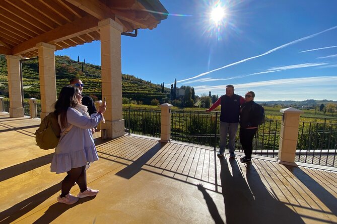 Discover the Amarone wine: 1 winery with delicious food pairing - Valpolicella in 3 hours: what you’re really buying