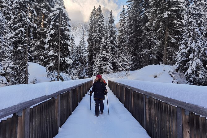 Dolomites of Bolzano Winter Hiking & Sledding Experience - Key things to know before you go