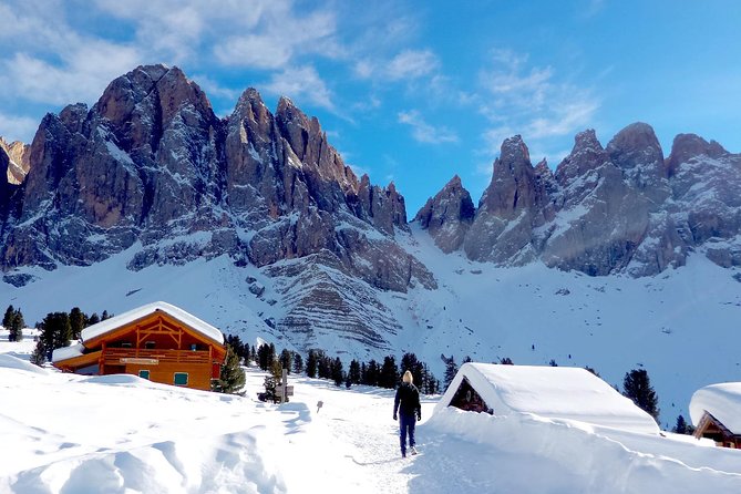 Dolomites of Bolzano Winter Hiking & Sledding Experience - Winter Dolomites near Bolzano: the scenery reason to book