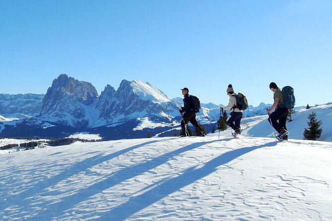 Dolomites of Bolzano Winter Hiking & Sledding Experience - Photo stops on snow-covered ridges: when your camera actually gets used