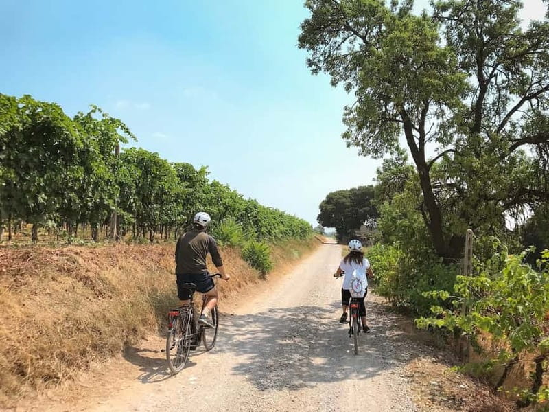 E-bike adventure among villages and medieval castles - Key points to know before you go