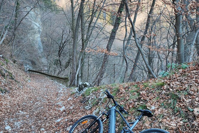 E-bike rental in Riva Del Garda - Finding Le bici di Eric & Paul at V.le Giovanni Prati