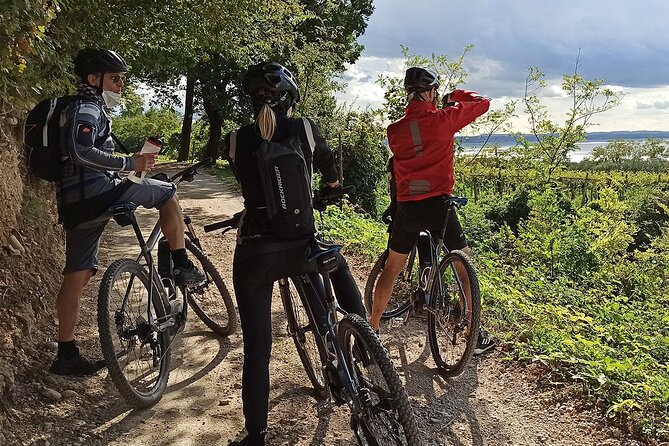 E-Bike Tour and Wine Tasting from Bardolino - Timing, weather, and what to pack for a comfy ride