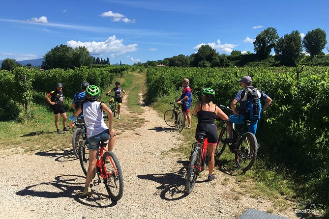 E-Bike Tour and Wine Tasting in Lazise - E-bike reality check: what to do at the start so it feels easy