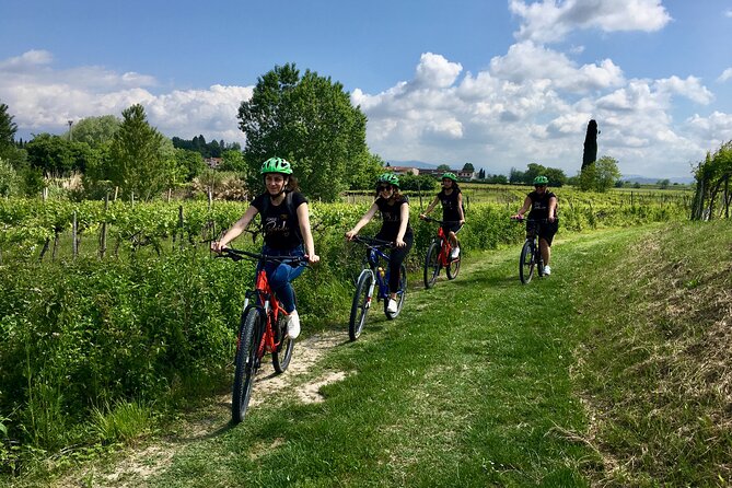 E-Bike Tour and wine tasting in Lazise Countryside - Key highlights you’ll feel right away